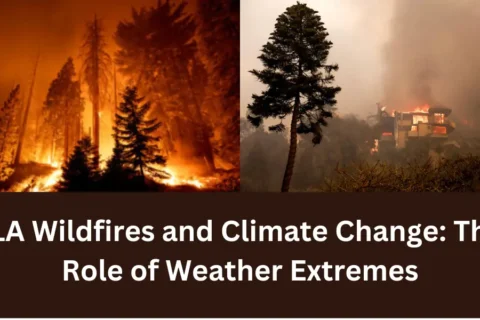 LA Wildfires and climate change